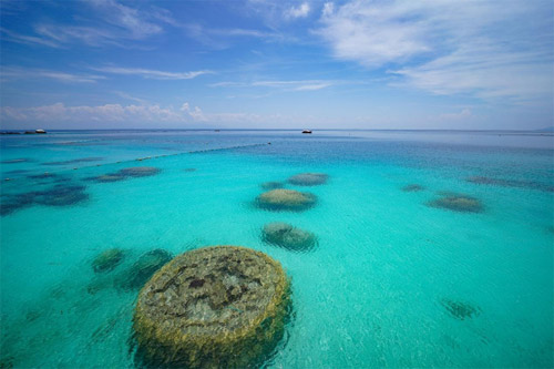 封島奇蹟果凍海!馬來西亞暑假親子旅遊海陸雙亮點登場 封面圖